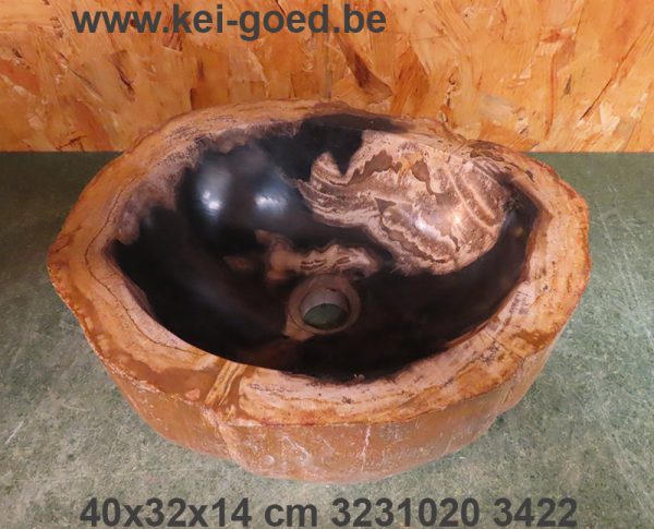 Lavabo Bois pétrifié