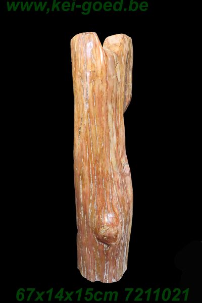 Bel ornement de bois pétrifié