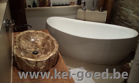 badkamer versteend hout