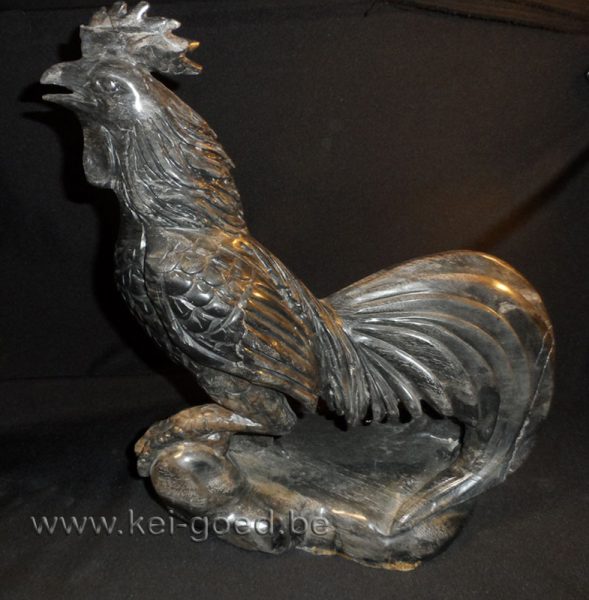 Ayam Hitam Zwarte Haan kip Ayam Ceman