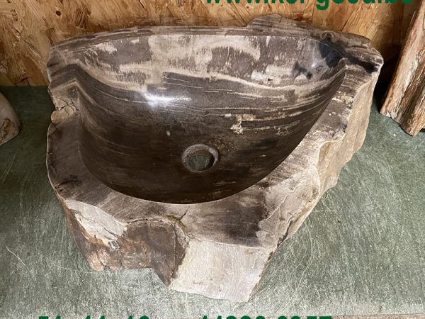 superstructure wash bowl of petrified wood