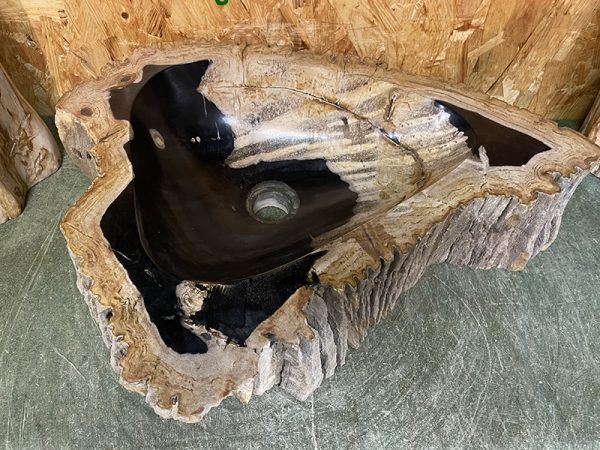 Waschbecken aus fossilem Holz versteinert