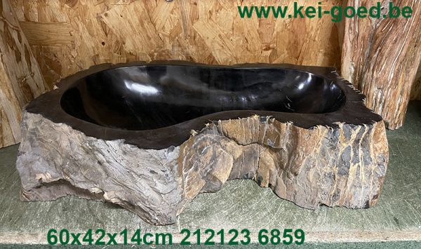 uniek bassin van versteend hout