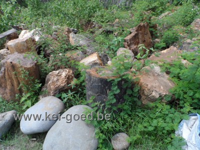 voorraad versteend hout