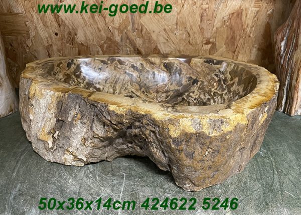 Fossil Stone Beauty Sink
