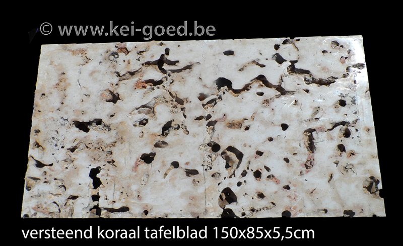 tafelblad van versteend hout