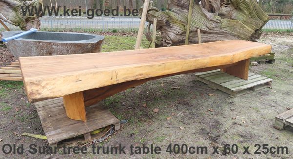 Old Suar tree trunk table