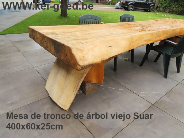 Mesa de tronco de árbol viejo Suar