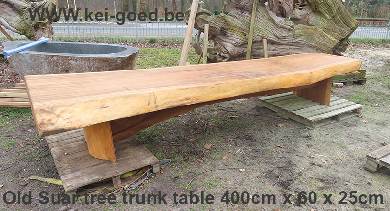 Old Suar tree trunk table