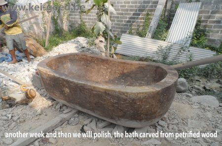 the bath carved from petrified wood