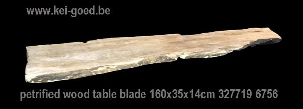 Petrified wood side table blade