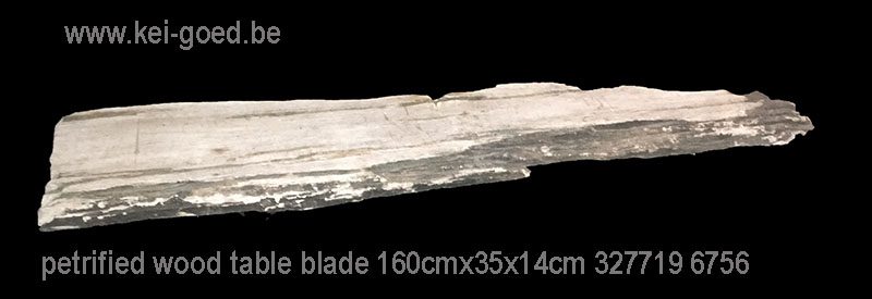 Petrified wood side table blade
