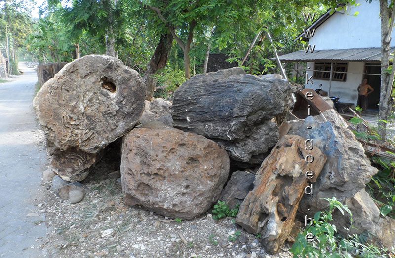 versteend hout stock