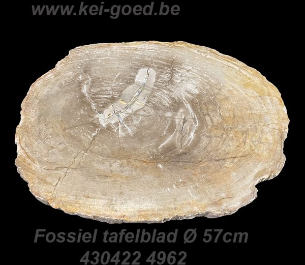 Tabletop sawn from petrified wood