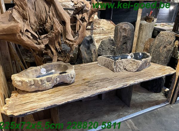 Large tabletop of petrified wood