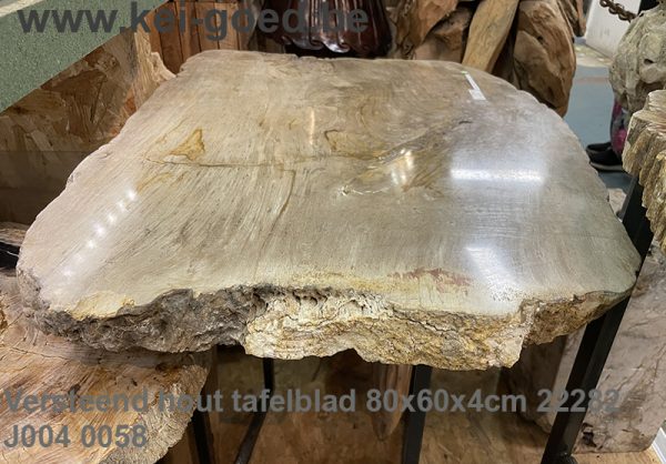 Versteend hout tafelblad