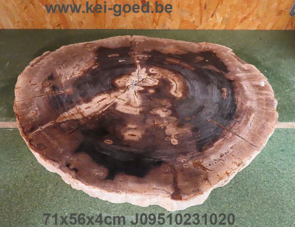 salon tafelblad van versteend hout