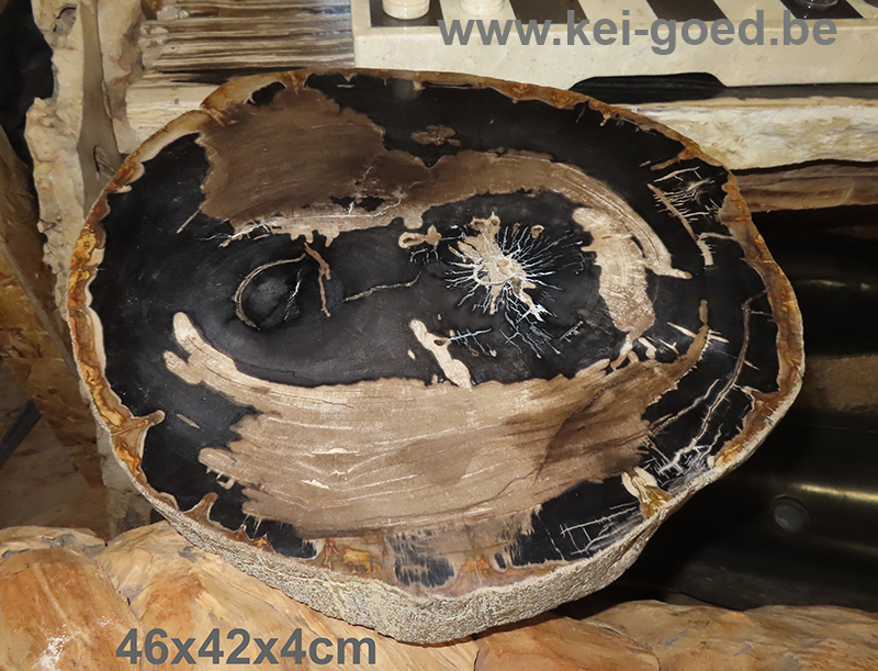 coffee table top of petrified wood