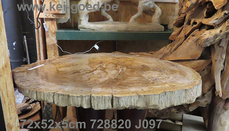 Couchtischplatte aus versteinertem Holz