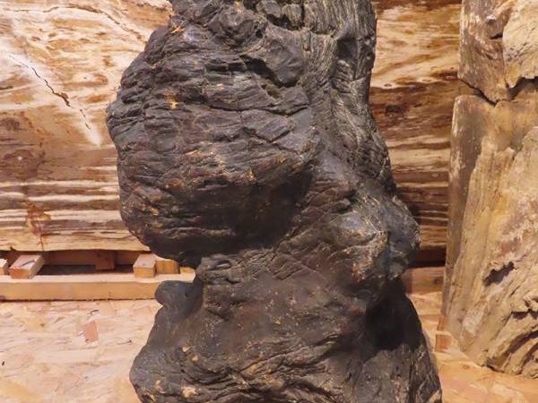 Ruw ornament van versteend hout