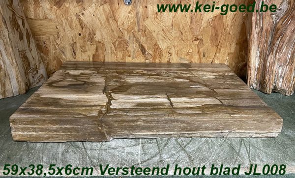 petrified wood top rectangular polished