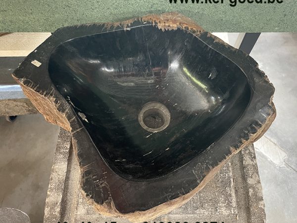 black petrified wooden sink