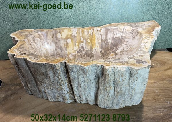 lavabo fossile in legno pietrificato