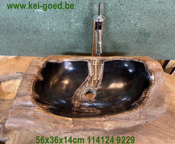 wash basin petrified wood a fossil