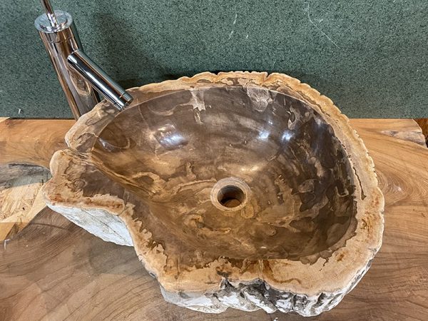 sink made of petrified wood with natural colors