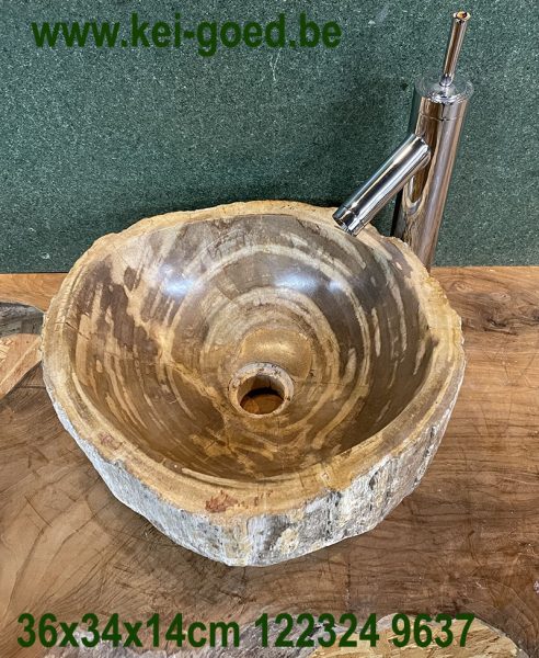 kleine versteend houten wastafel een fossiel