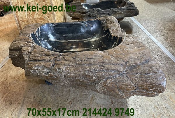 Fossiel versteend hout wastafel