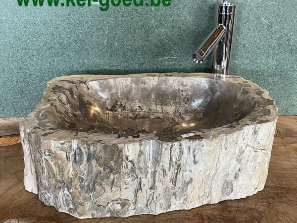 Pompbak van versteend hout
