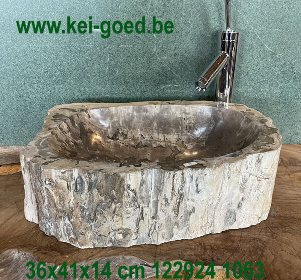 Pompbak van versteend hout