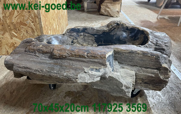 Black petrified wooden washbasin