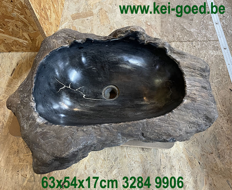 Fossiel versteend hout daarvan een waskom