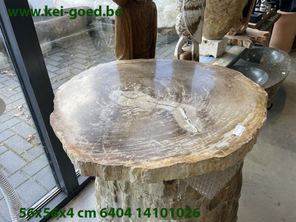 salontafelblad van versteend hout bruin 6404
