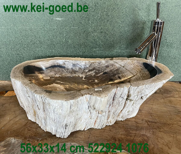 Petrified Wood Sink
