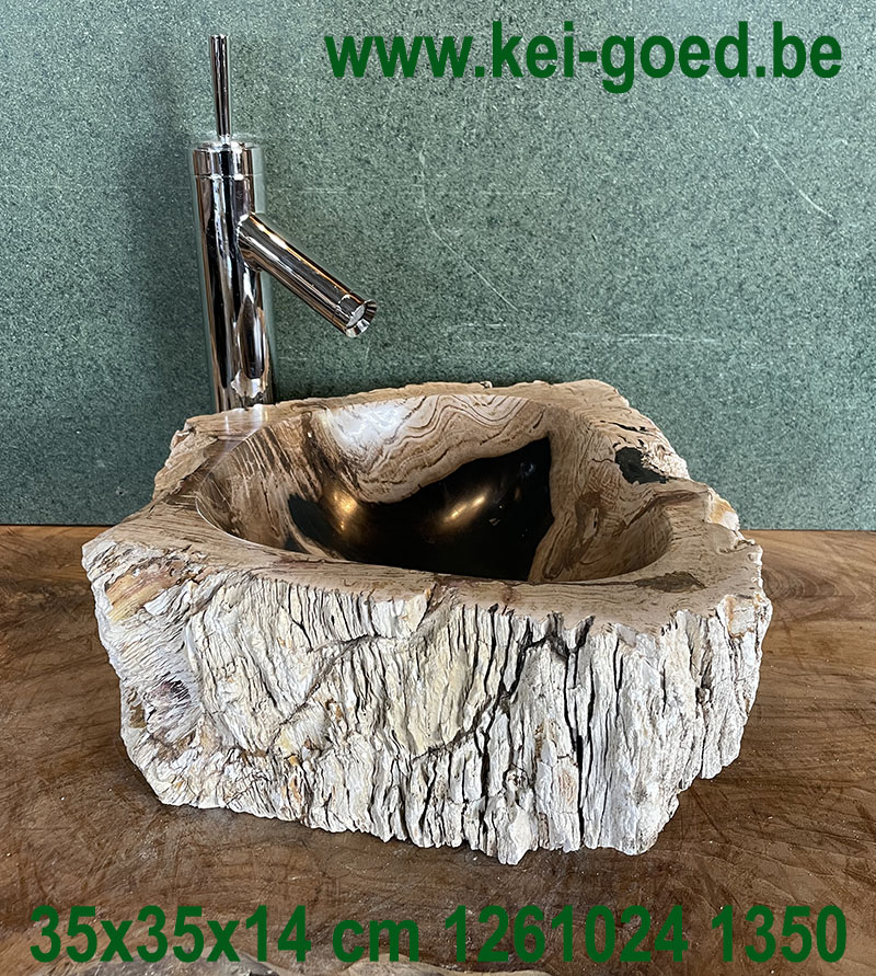 Black and beige petrified wooden washbasin