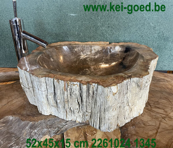 Lavabo en pierre dure provenant d'un fossile