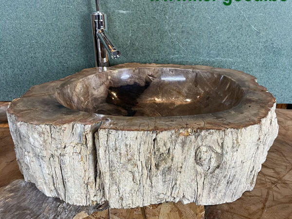 Hardstenen waskom van een fossiel