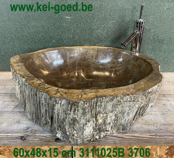 Fossile, évier en bois pétrifié