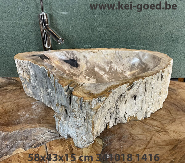 Bijzonder waskom van versteend hout