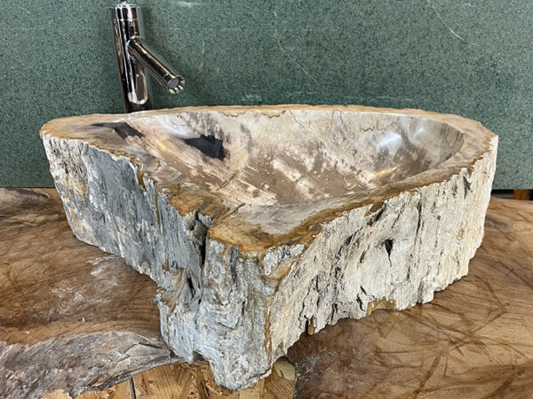 waskom van versteend hout