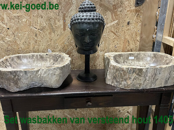 Duo set waskommen van versteend hout 122924
