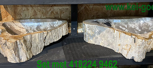 Set wasbakken van versteend hout