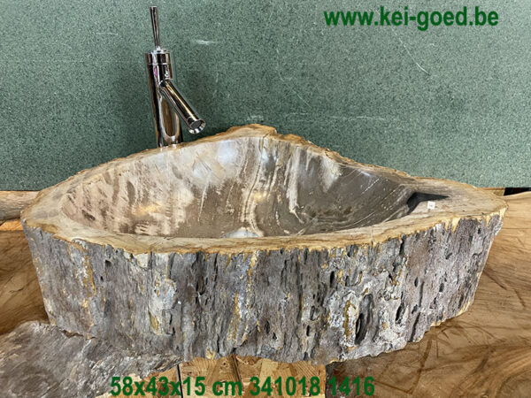 Wasbak van versteende boomstam