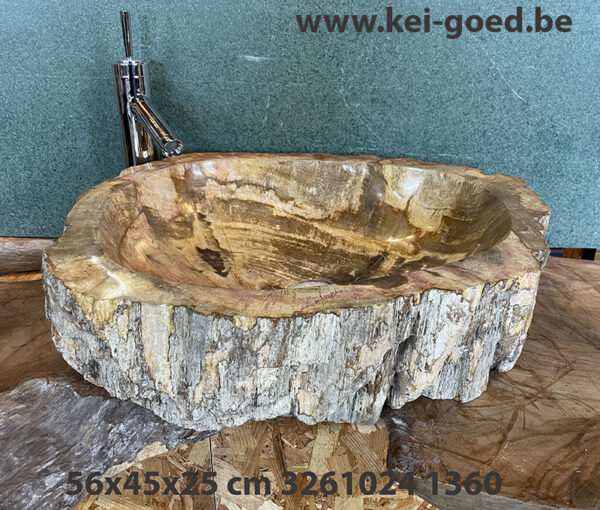 pompbak van versteend hout puur natuur
